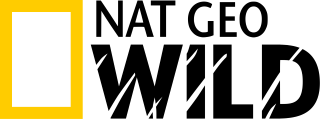 2000px-Nat_Geo_Wild_Variante_Logo.svg